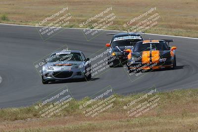 media/May-04-2024-Lucky Dog Racing (Sat) [[d39539b3f3]]/Race Pics/1015am (Turn 2)/